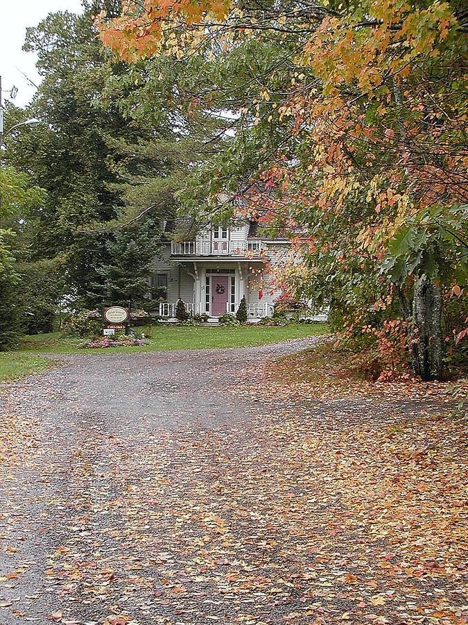 Briarwood Bed & Breakfast Elmsdale Eksteriør bilde