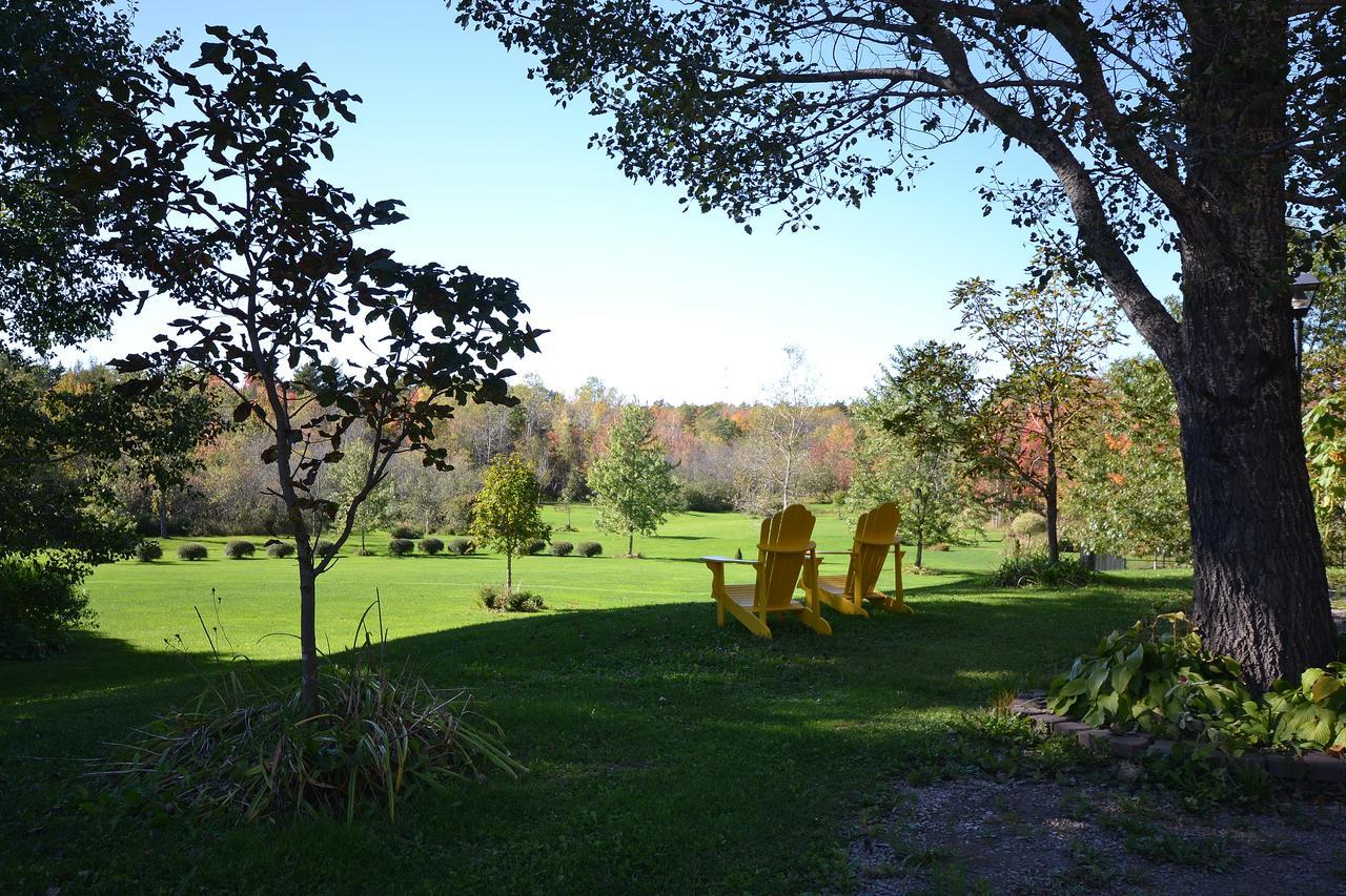 Briarwood Bed & Breakfast Elmsdale Rom bilde