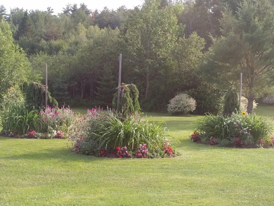 Briarwood Bed & Breakfast Elmsdale Eksteriør bilde