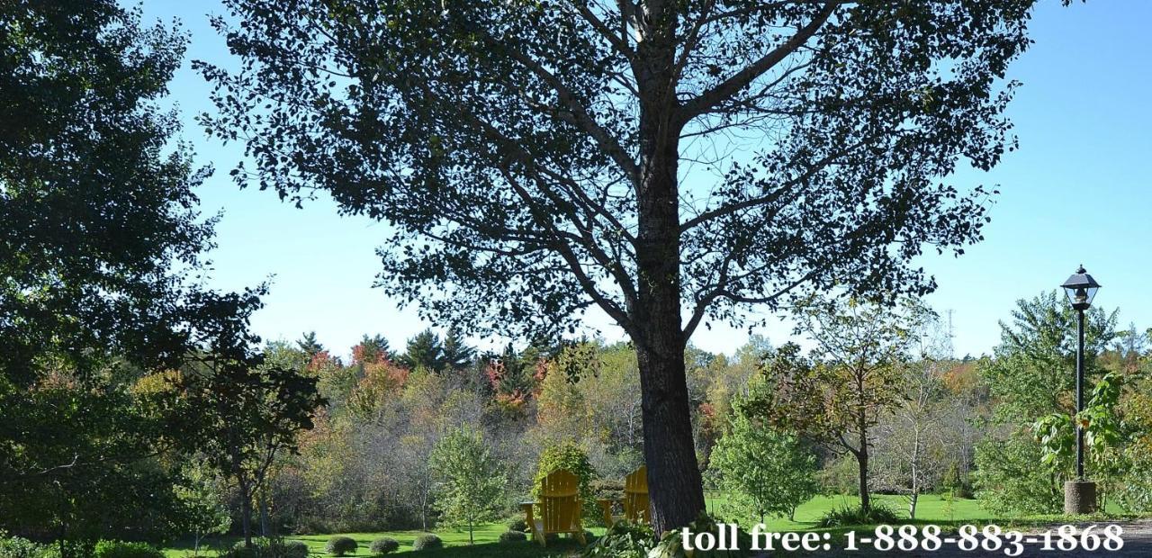Briarwood Bed & Breakfast Elmsdale Rom bilde